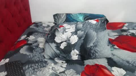 Snapshot of gimena_ass chatting on 12.29.24 Gimena online show from 12.29.24