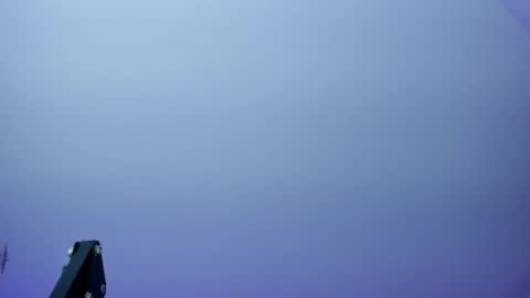 Kendall online show from 12.15.25