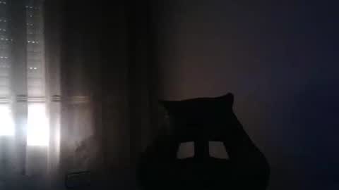 Snapshot of gioshadow chatting on 05.26.26 gioshadow online show from 05.26.26