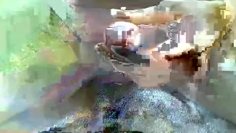 girafsnoop online show from 01.04.25