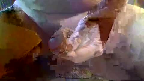 girafsnoop online show from 01.19.25