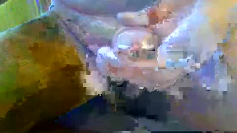 girafsnoop online show from 09.28.25