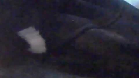 lovegirlscallme online show from 10.10.25