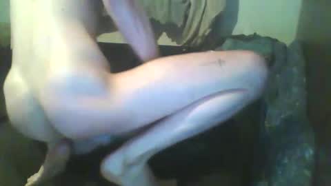 girthdoctor online show from 12.03.25