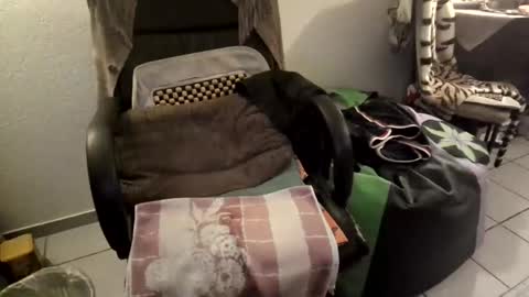 gjslave online show from 09.11.25