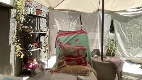 Gl1tter Barbie online show from 11.22.25