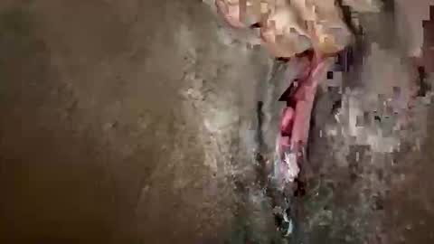 glazehoney online show from 10.28.25