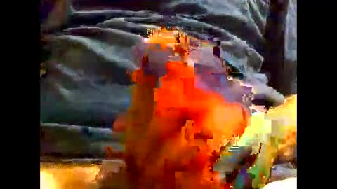 PencilDick online show from 12.05.24