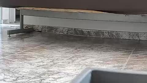 goddesshannahfeet_ online show from 04.07.26