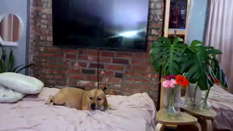 Goodess Jojo online show from 04.04.26