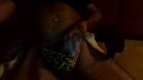 gojo885 online show from 01.13.25