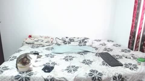 Snapshot of gold_shooter chatting on 03.12.26 gold_shooter online show from 03.12.26