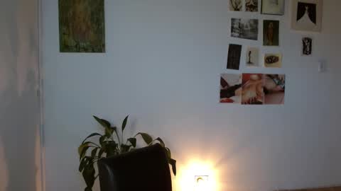 Alaska online show from 02.01.26