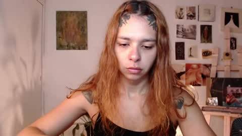 Alaska online show from 04.15.26