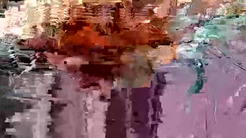 gonadalache online show from 11.17.25