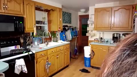 goodgirlcelestecat online show from 03.23.26