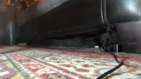 Mistress  Mommy  Godess online show from 01.25.25