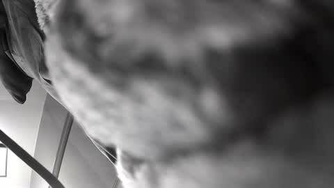 Get US to 1000 you wont be disapointed online show from 12.10.24