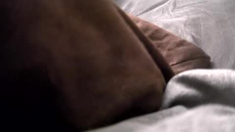 Get US to 1000 you wont be disapointed online show from 12.16.24