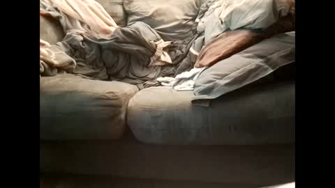 Get US to 1000 you wont be disapointed online show from 01.22.25