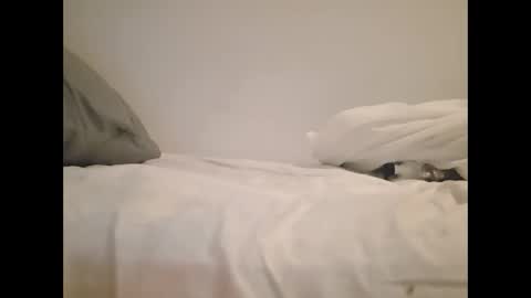 greekprince77 online show from 03.02.26