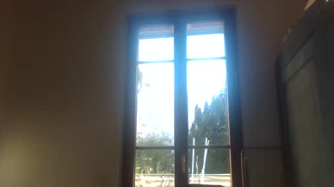 Greenmoon online show from 12.18.24