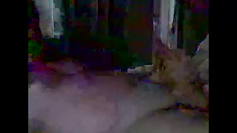 grittslappa online show from 04.28.26