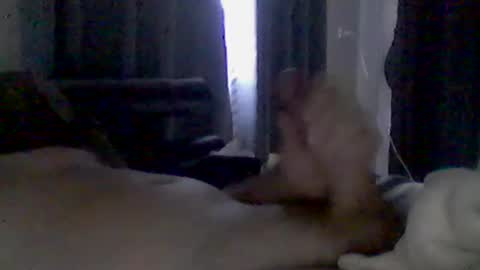 Snapshot of grittslappa chatting on 06.22.26 grittslappa online show from 06.22.26