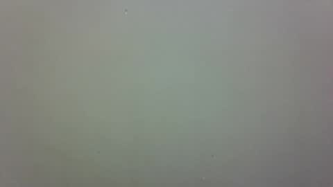 growerboy25 online show from 11.26.25