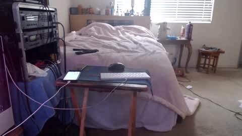 Mario online show from 02.15.26