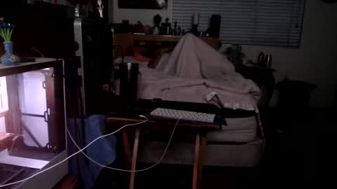 Mario online show from 02.22.26