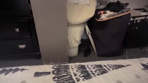 Snapshot of gumbywanna chatting on 12.20.24 gumbywanna online show from 12.20.24