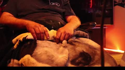 h0tttsteel online show from 12.18.24