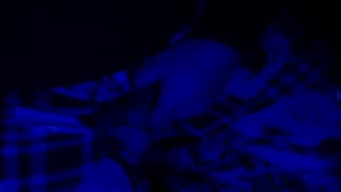 H2omygod online show from 12.14.24