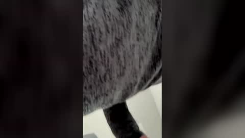 Snapshot of h4fun69 chatting on 03.06.26 Ricko online show from 03.06.26