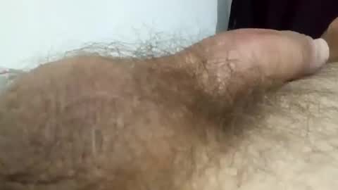 h_rd333 online show from 01.08.26