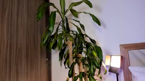 Snapshot of hailey_firee chatting on 02.10.26 Hailey online show from 02.10.26