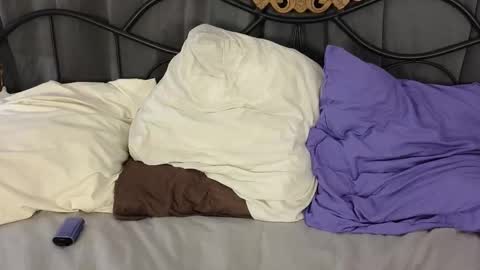 Lylu online show from 02.03.26