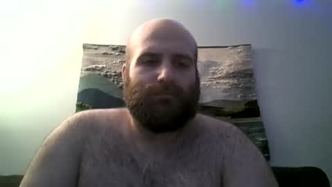 Hairiest Bear online show from 12.13.24