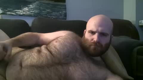 Hairiest Bear online show from 01.26.25