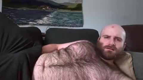 Hairiest Bear online show from 03.02.25