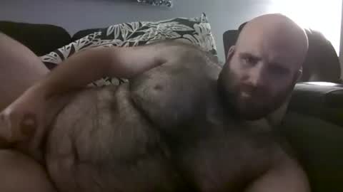 Hairiest Bear online show from 10.06.25