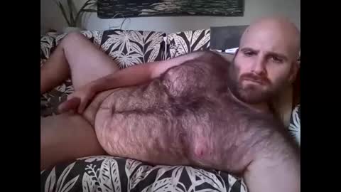 Hairiest Bear online show from 10.28.25