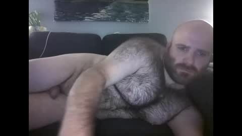 Hairiest Bear online show from 05.24.26