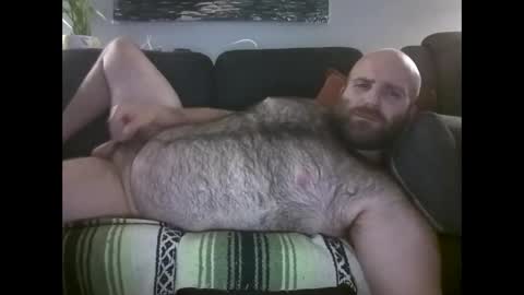 Hairiest Bear online show from 05.30.26