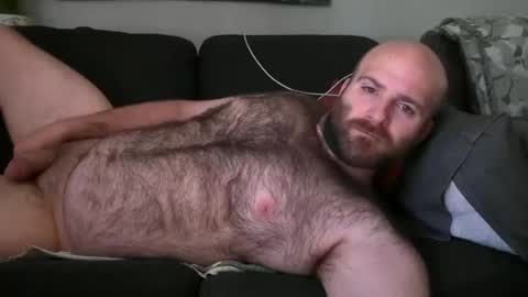 Hairiest Bear online show from 06.01.26