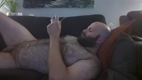 Hairiest Bear online show from 06.14.26