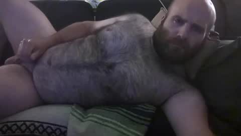 Hairiest Bear online show from 06.28.26