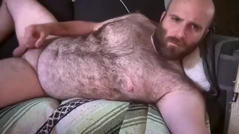 Hairiest Bear online show from 07.08.26