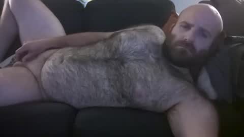 Hairiest Bear online show from 07.10.26